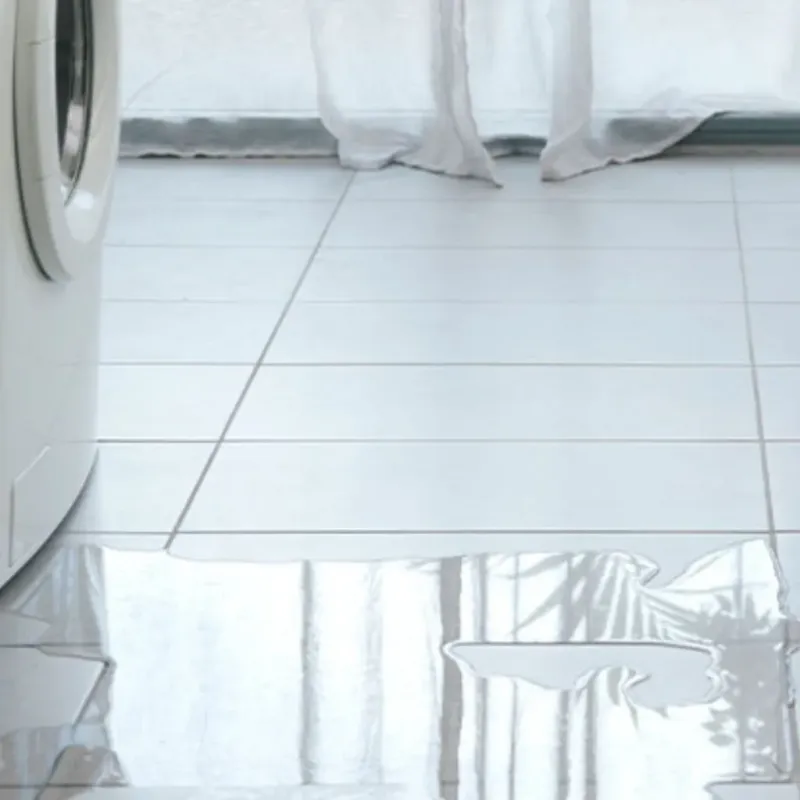 Appliance Leak Cleanup in Moweaqua, IL