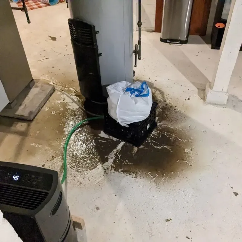 Sewage Backup Cleanup Service in Moweaqua, IL